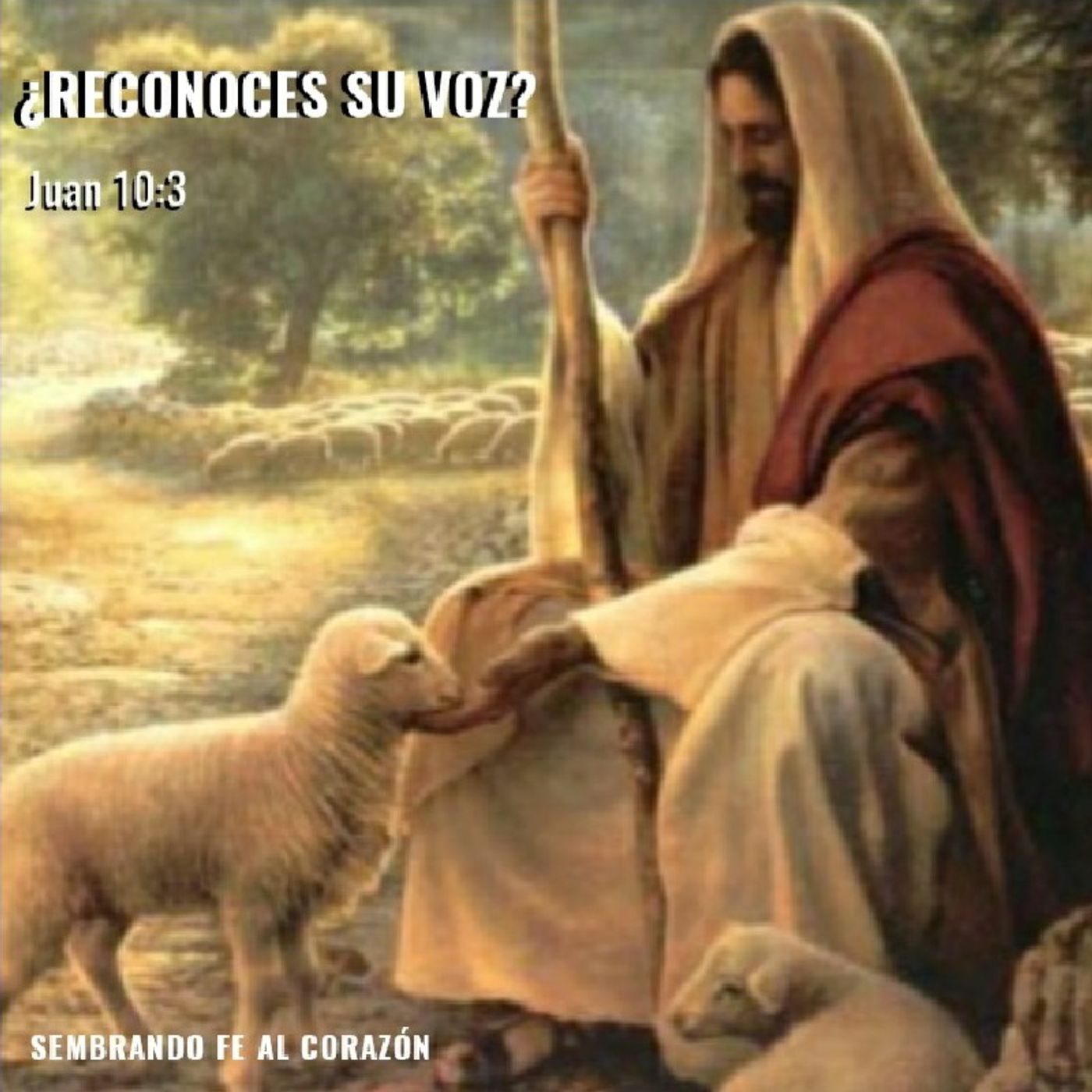 Podcast Sembrando FE AL Corazón