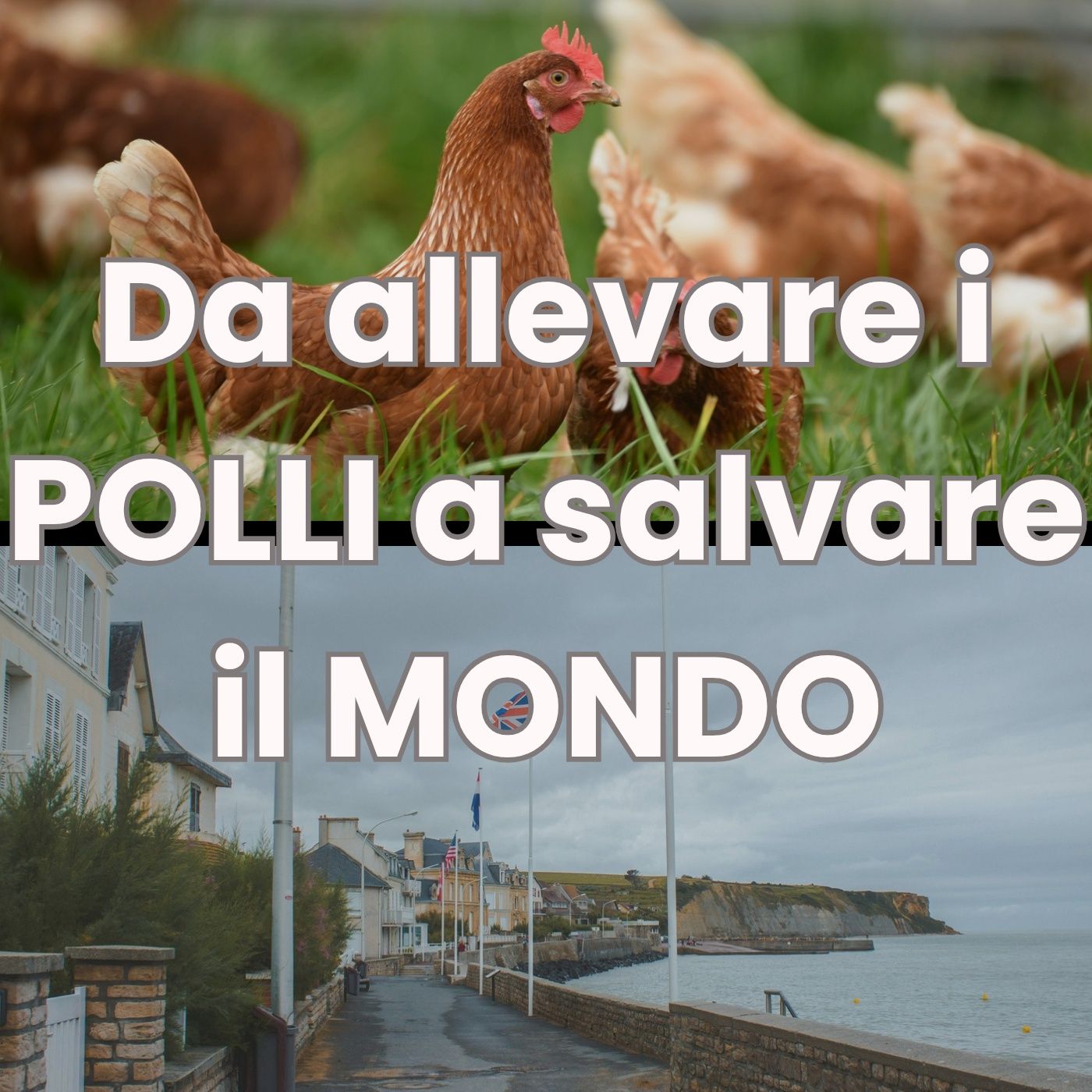 #Torino Da allevare i polli a salvare il mondo