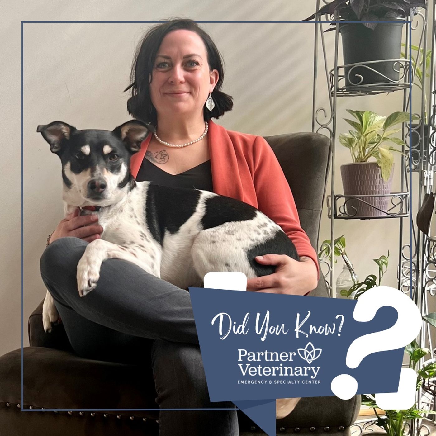 Grieving the Loss of a Pet with Dr. Melissa Miller episode artwork