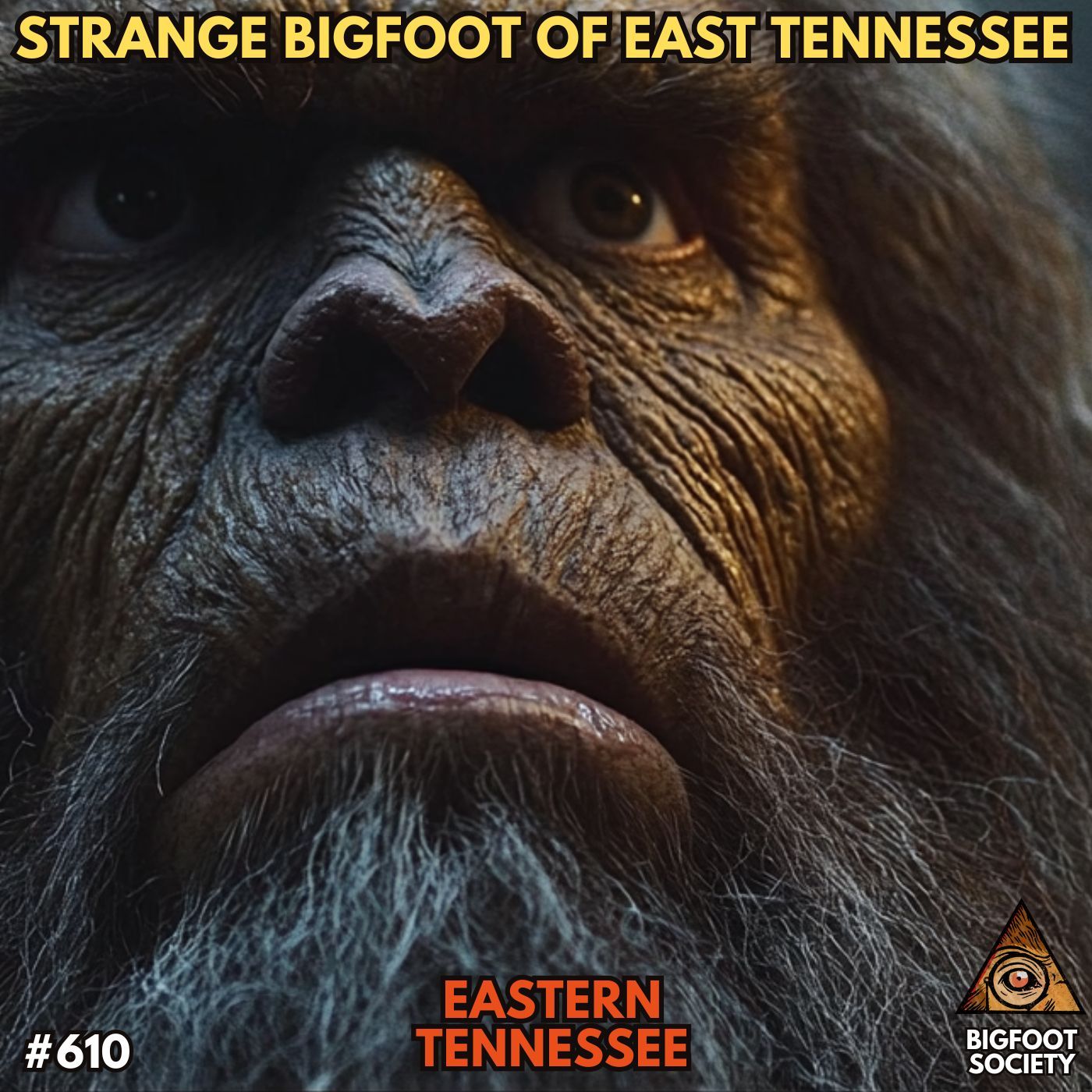 Strange Bigfoot in Eastern Tennessee with Matt Seeber