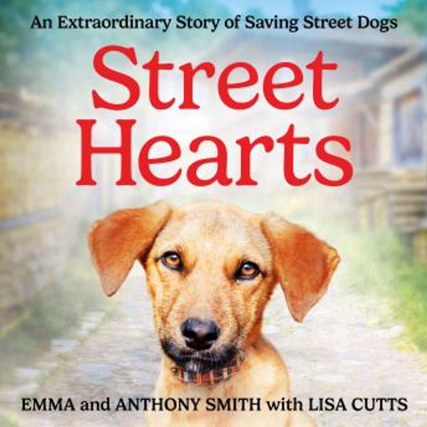 Discover the Best Audio Stories in Biography & Memoir