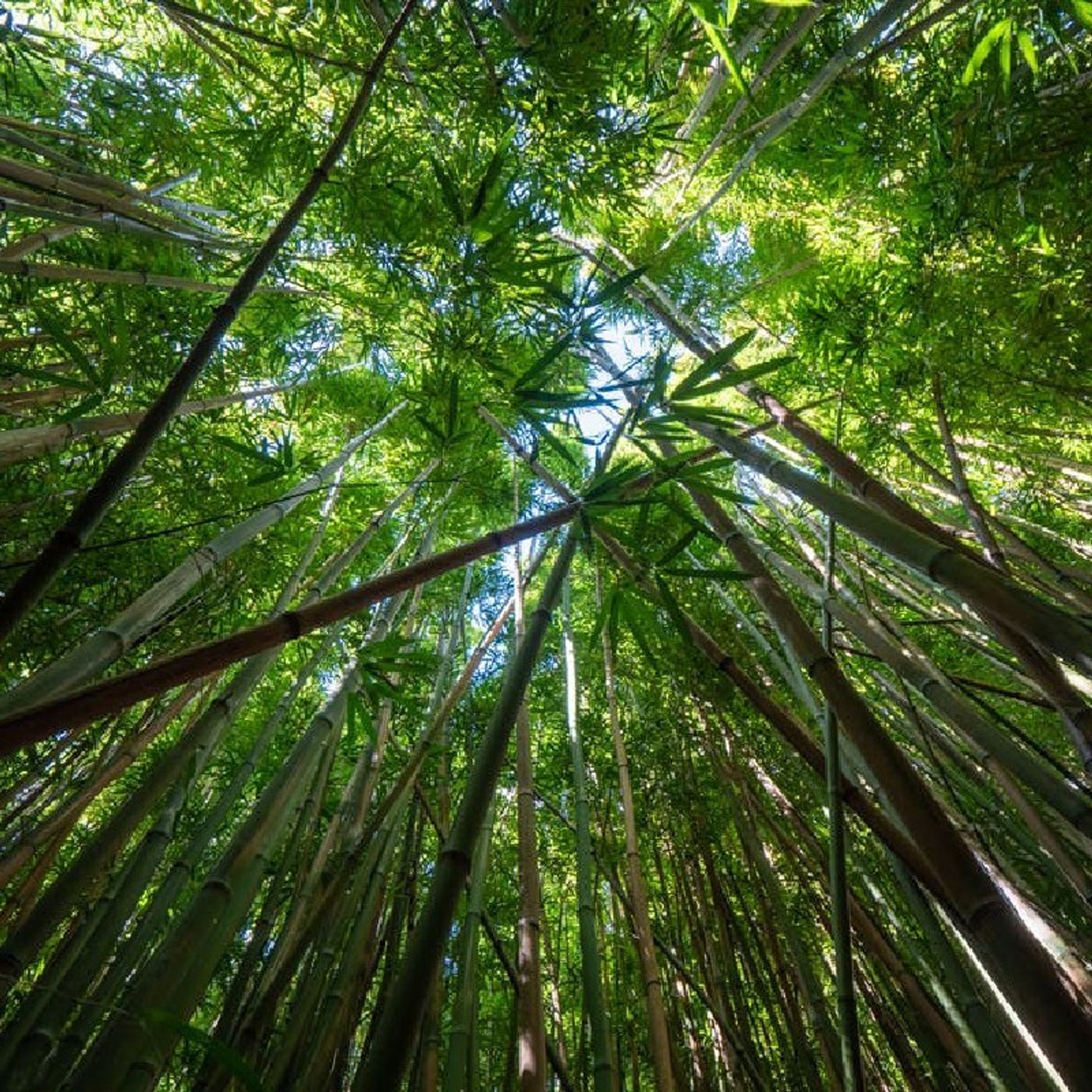 DayToDay-Meditazioni Giornaliere-PAPG