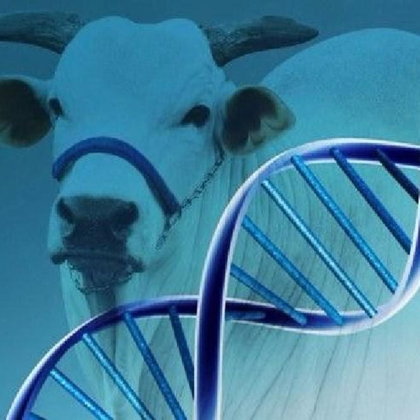 Biotecnología Animal