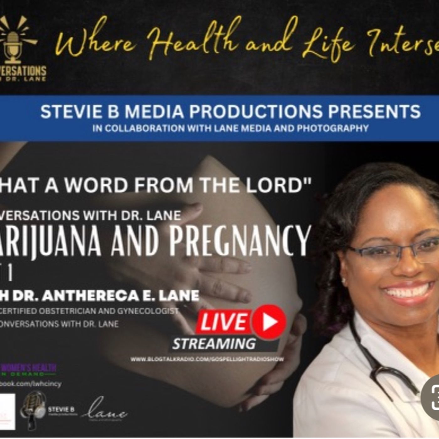 Stevie B. Media Productions