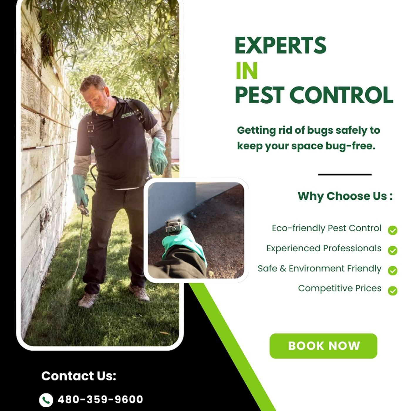 Termite Control Gilbert – Arizona Pest Solutions episode artwork