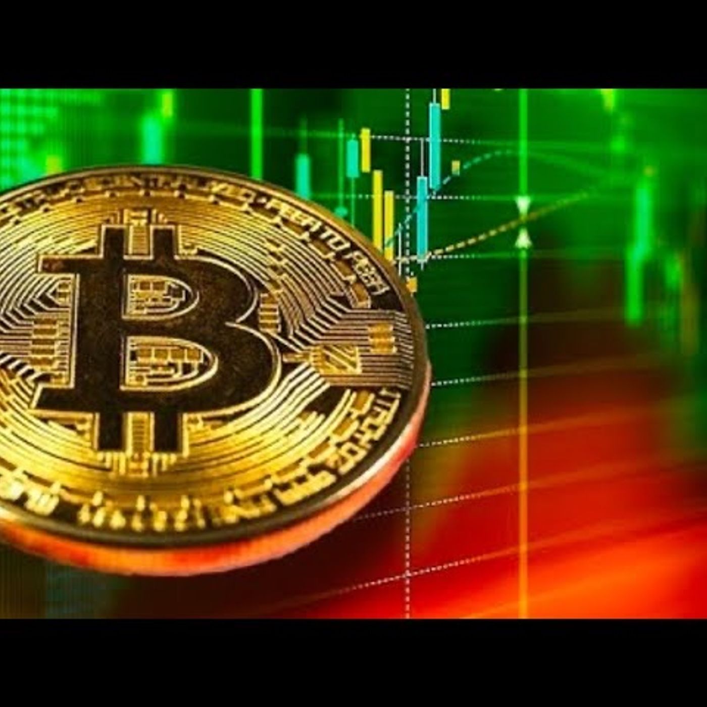 S44 E13: Will Donald Trump And Elon Musk Bring About An Increased Popularity In The  Prices Of Bitcoin