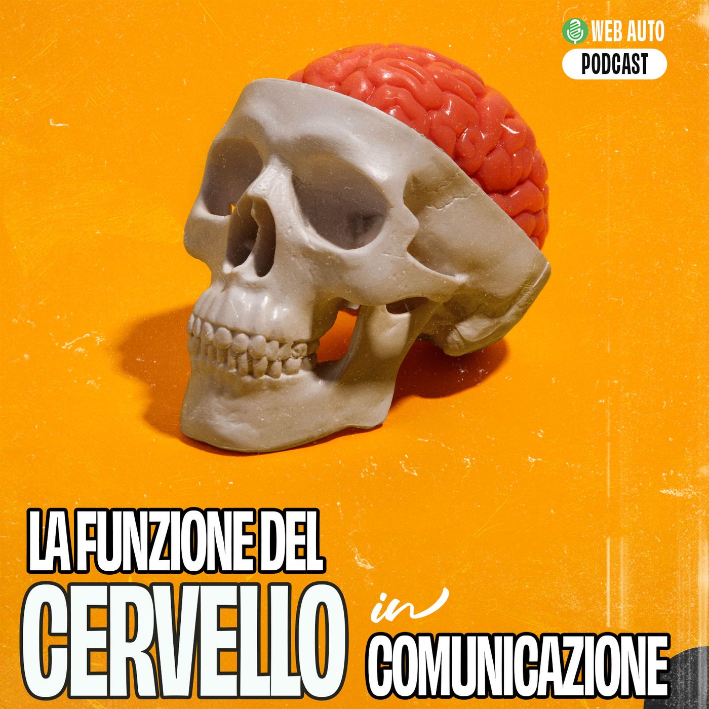 Comunicazione e Lingua
