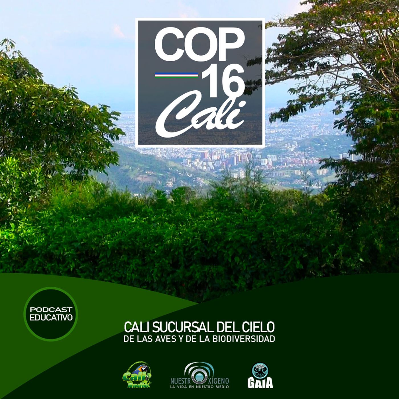 2024 Nuestro Oxígeno 02- Febrero