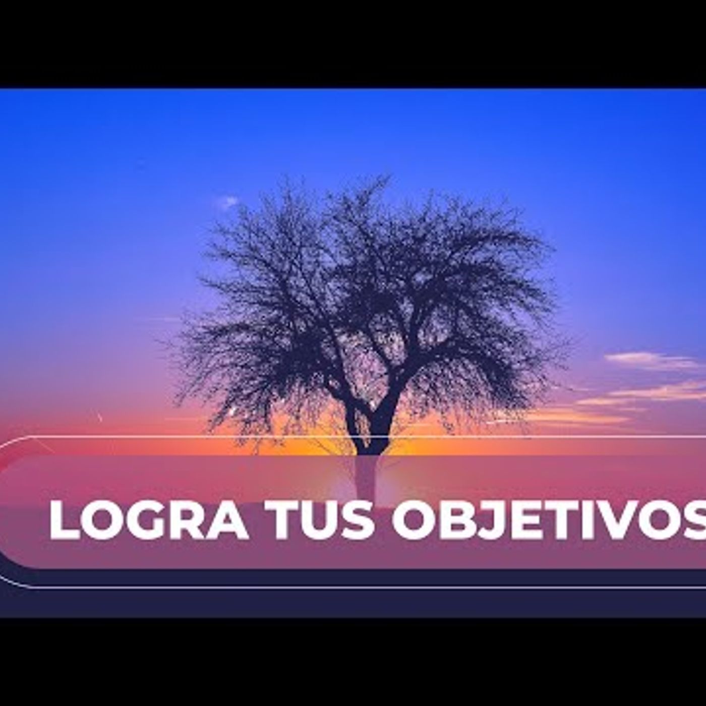Meditación de la Mañana 🌺 Ritual para Logar Objetivos
