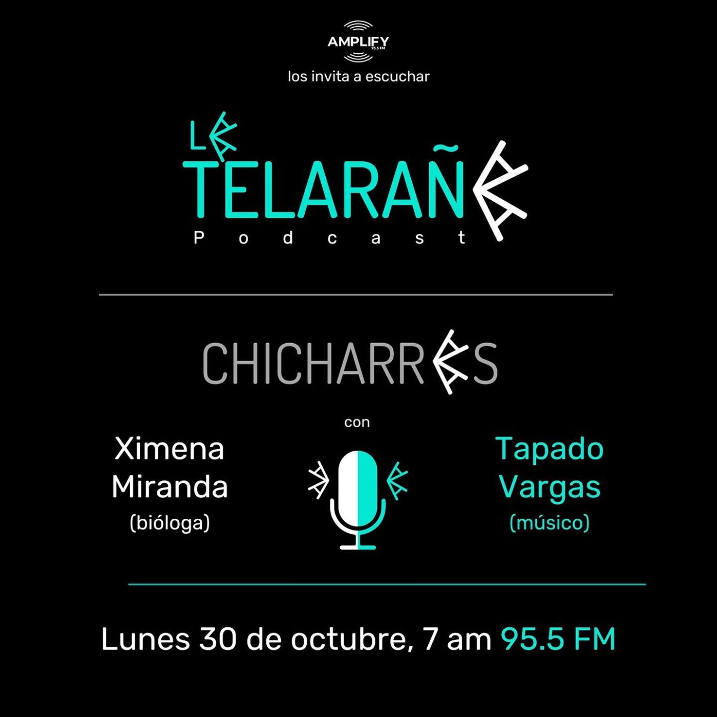 Portada de La Telaraña