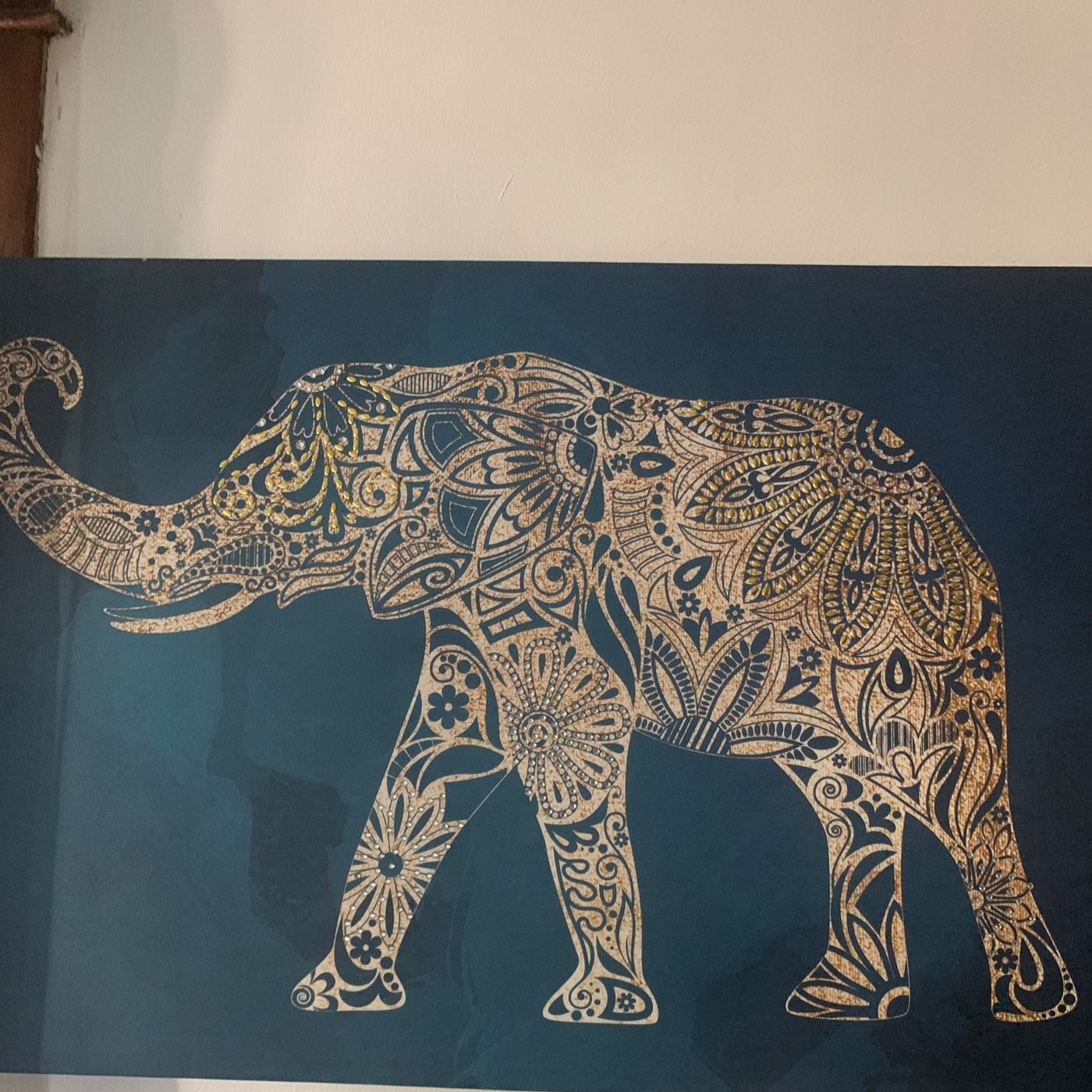 A Moment With BW The Elephant Lady