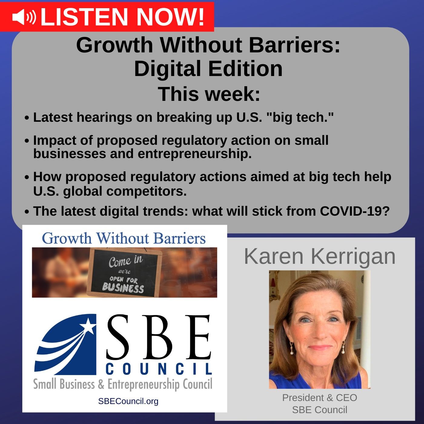 Growth Without Barriers - DIGITAL EDITION: Hearings in U.S. House on breaking up U.S. "big tech"; update on latest digital trends. episode artwork
