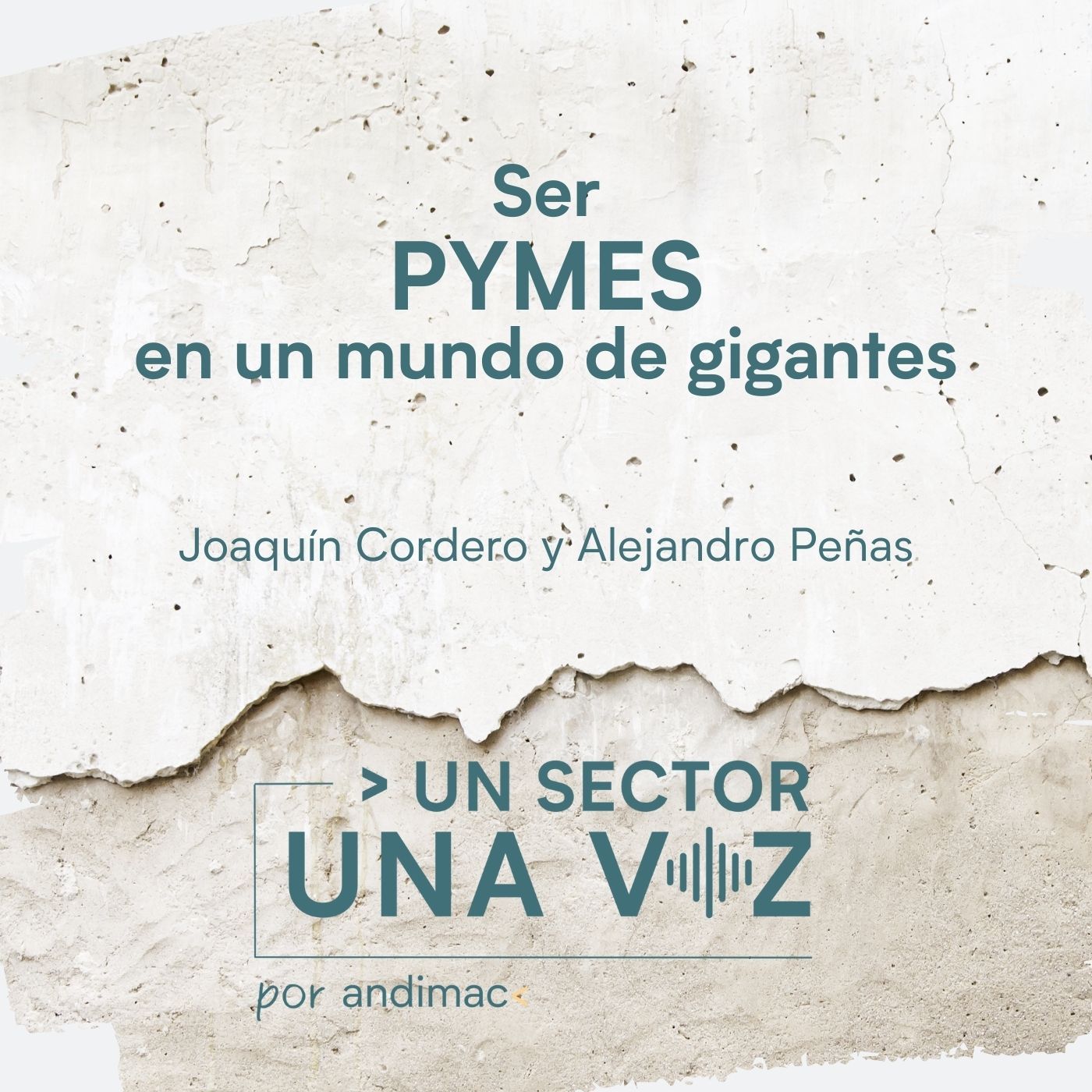 Un sector, una voz