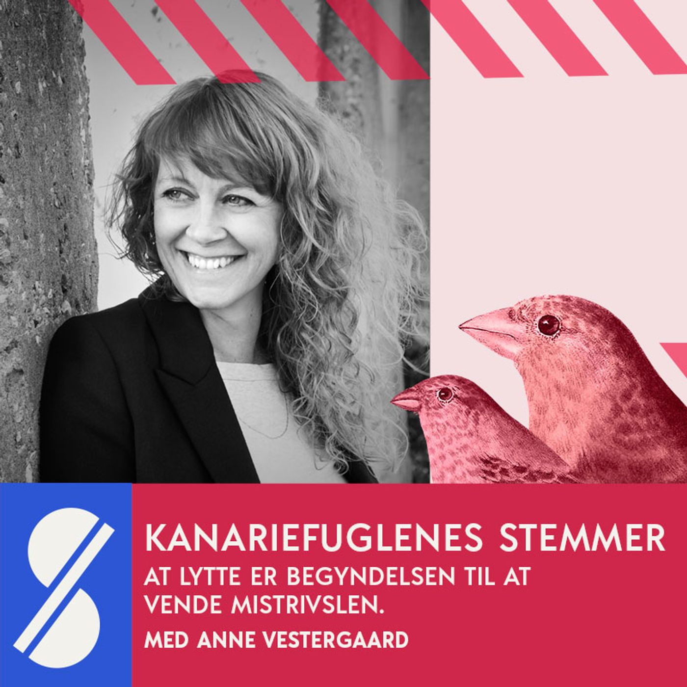 Kanariefuglenes stemmer