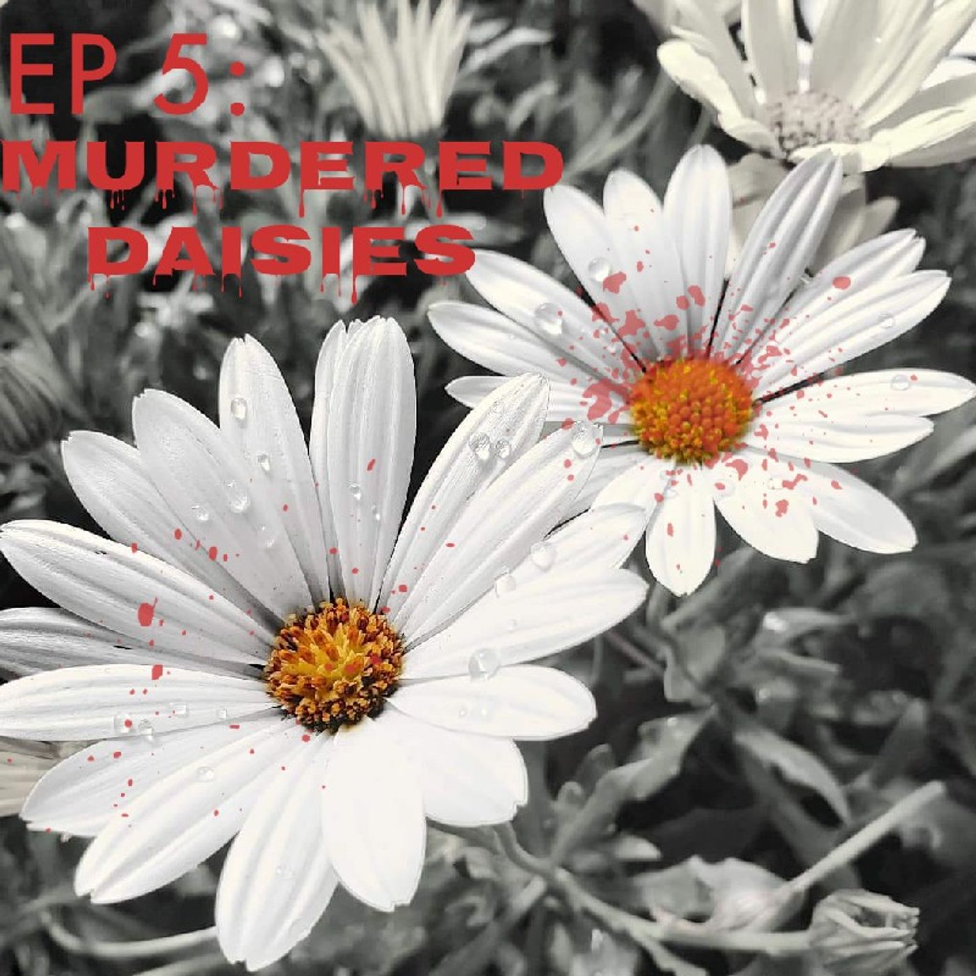 EP 5: Murdered Daisies