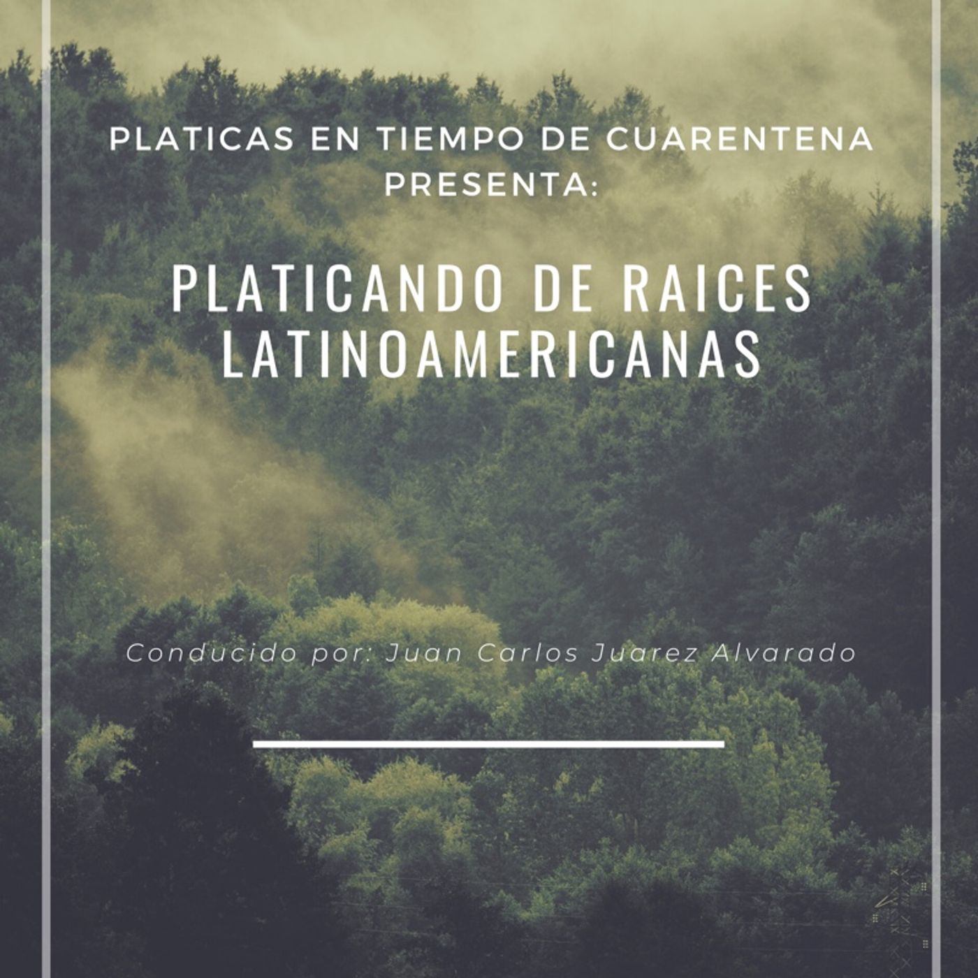 Platicas en tiempos de cuarentena 1