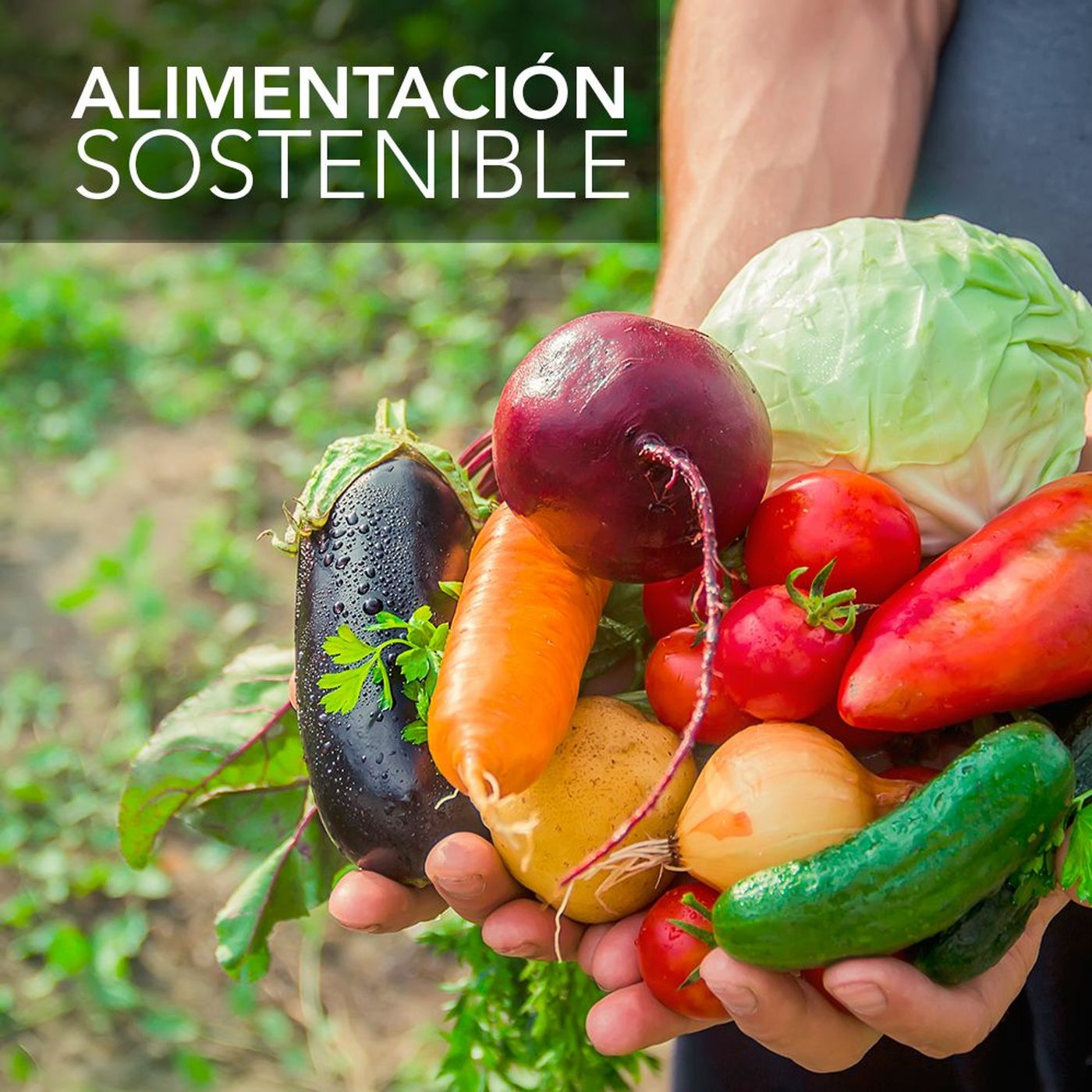 Alimentación sostenible | Desafíos RCN-Javeriana episode artwork