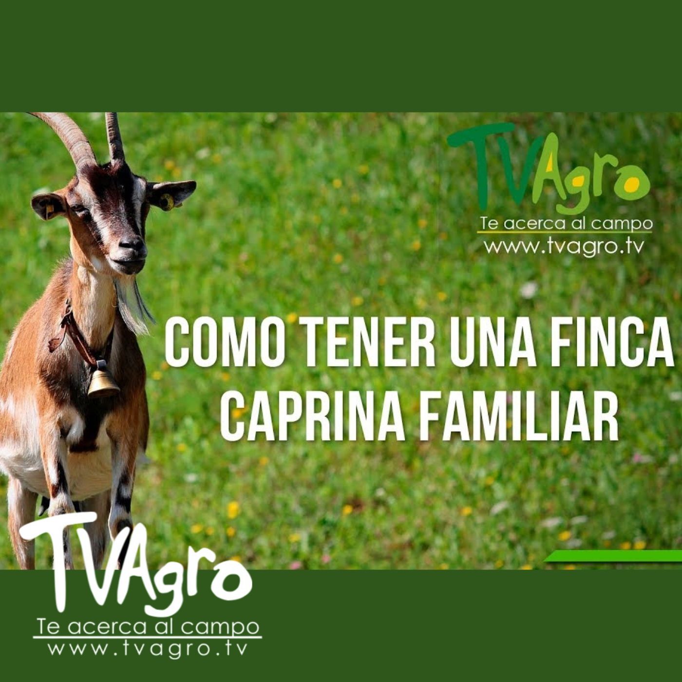 TV AGRO