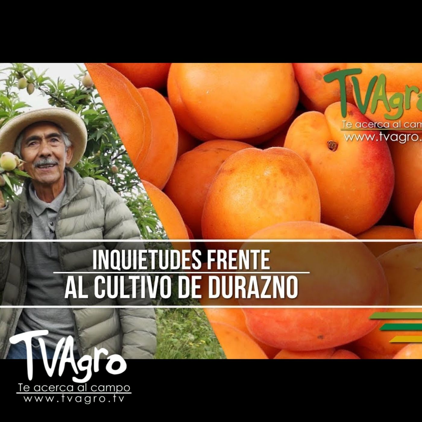 TV AGRO