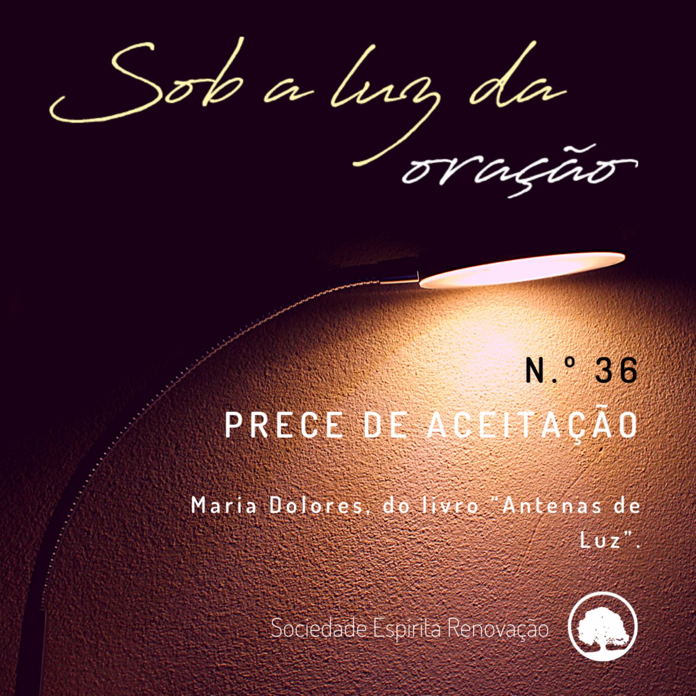 Sob a luz da oração