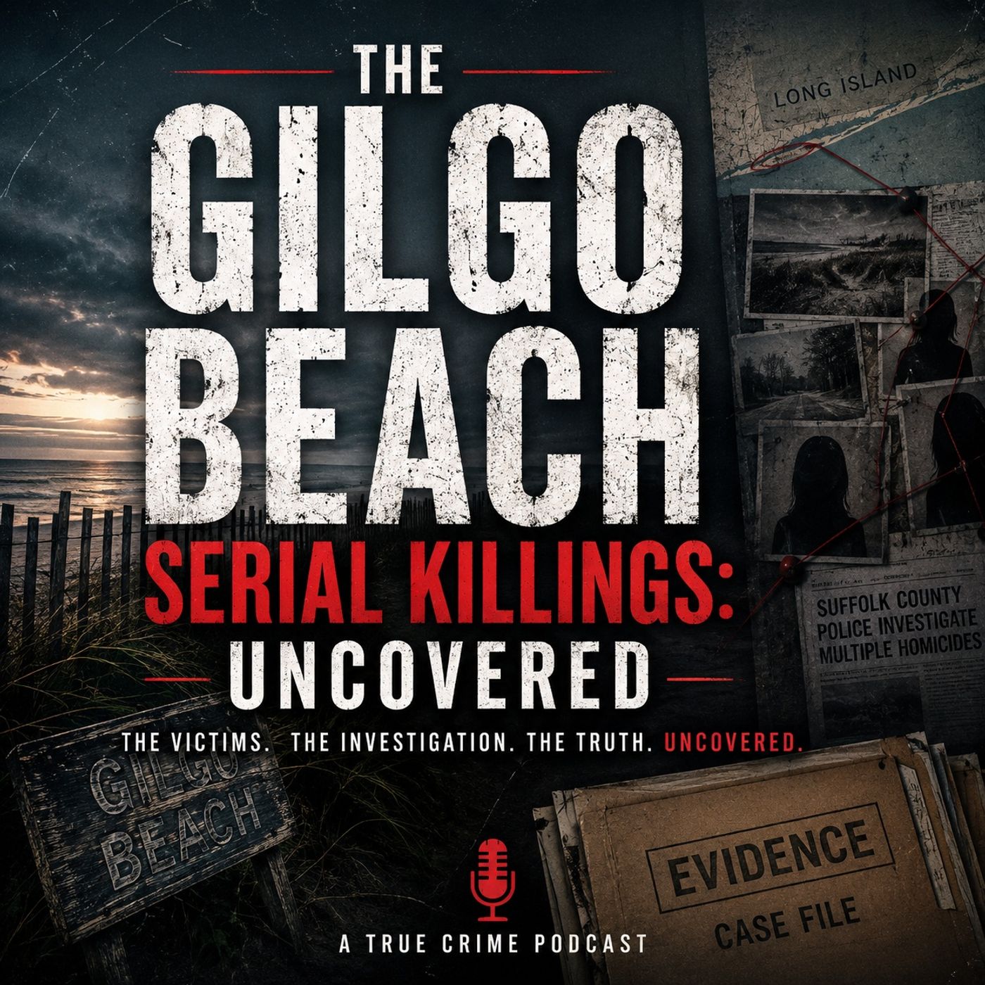 The Gilgo Beach Serial Killings