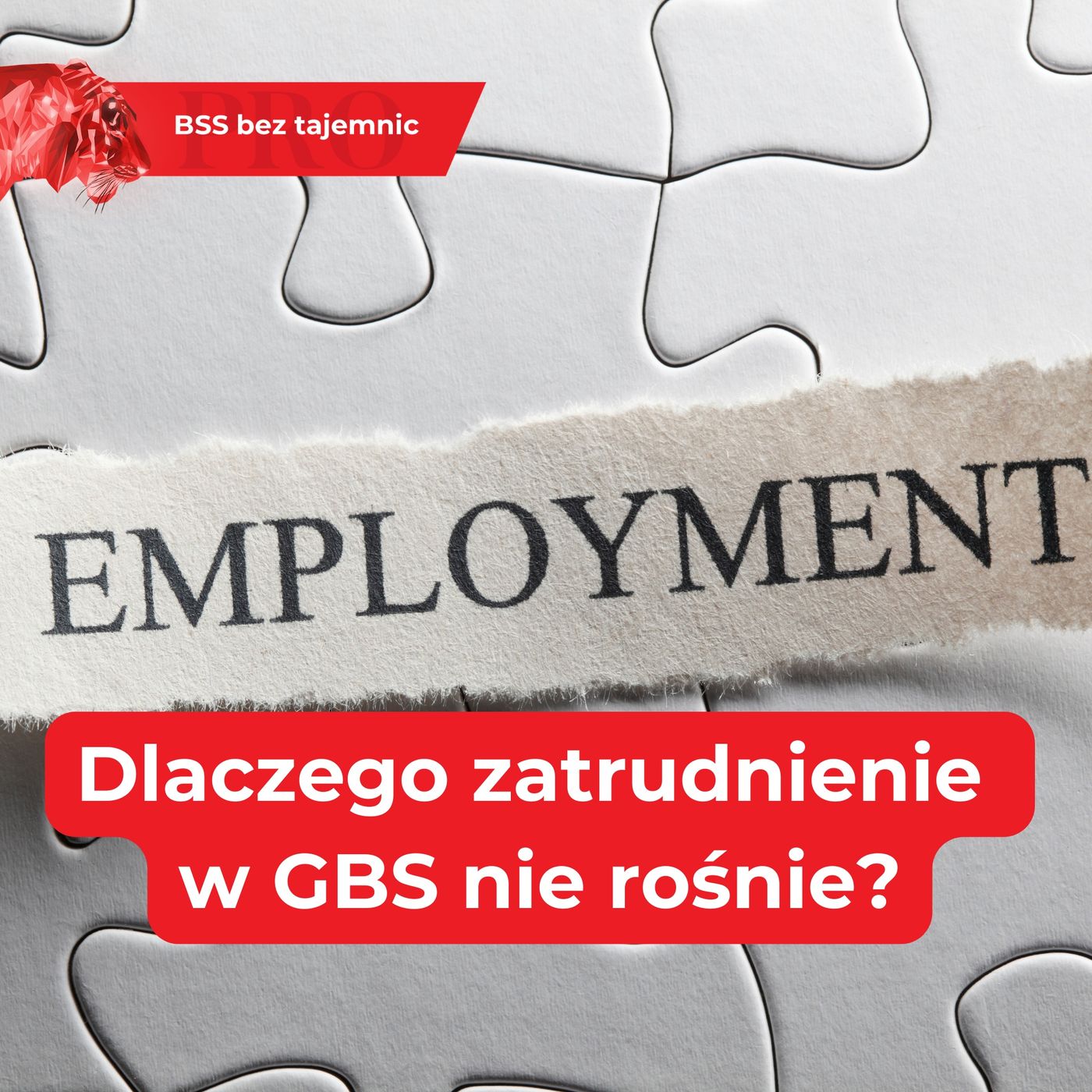 Dlaczego GBS w Polsce nie zatrudnia więcej ludzi? 3 kluczowe powody stagnacji episode artwork