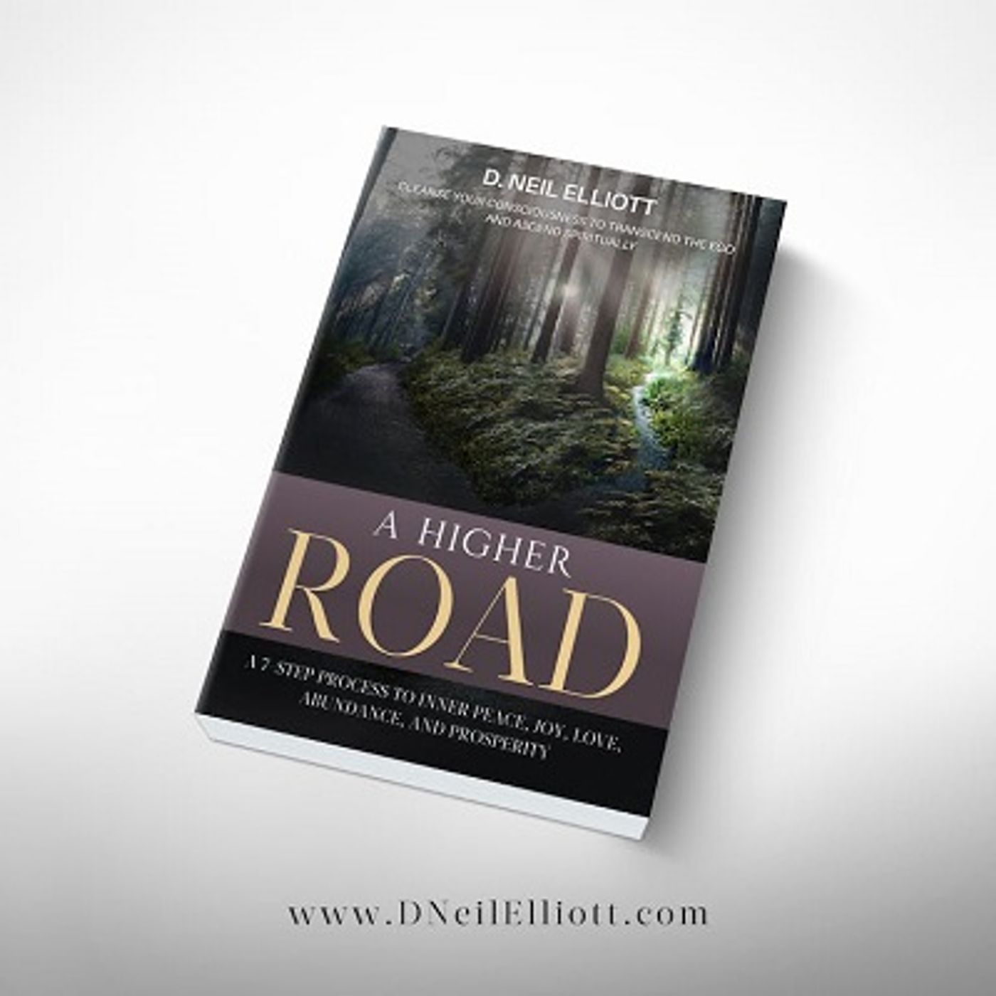 P4T 6-13 "A HIGHER ROAD" with D NEIL ELLIOTT
