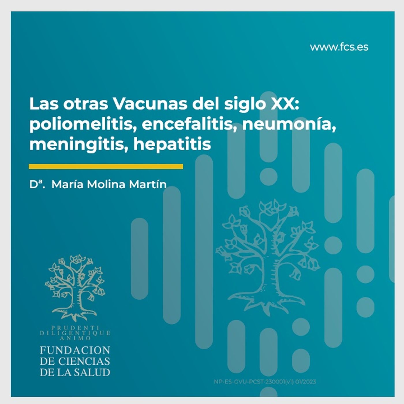 Sesión XII: "Las otras vacunas del siglo XX" con Dª María Molina Martín