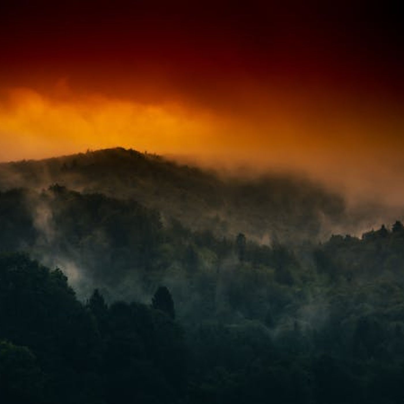 Did Christ Already Return?