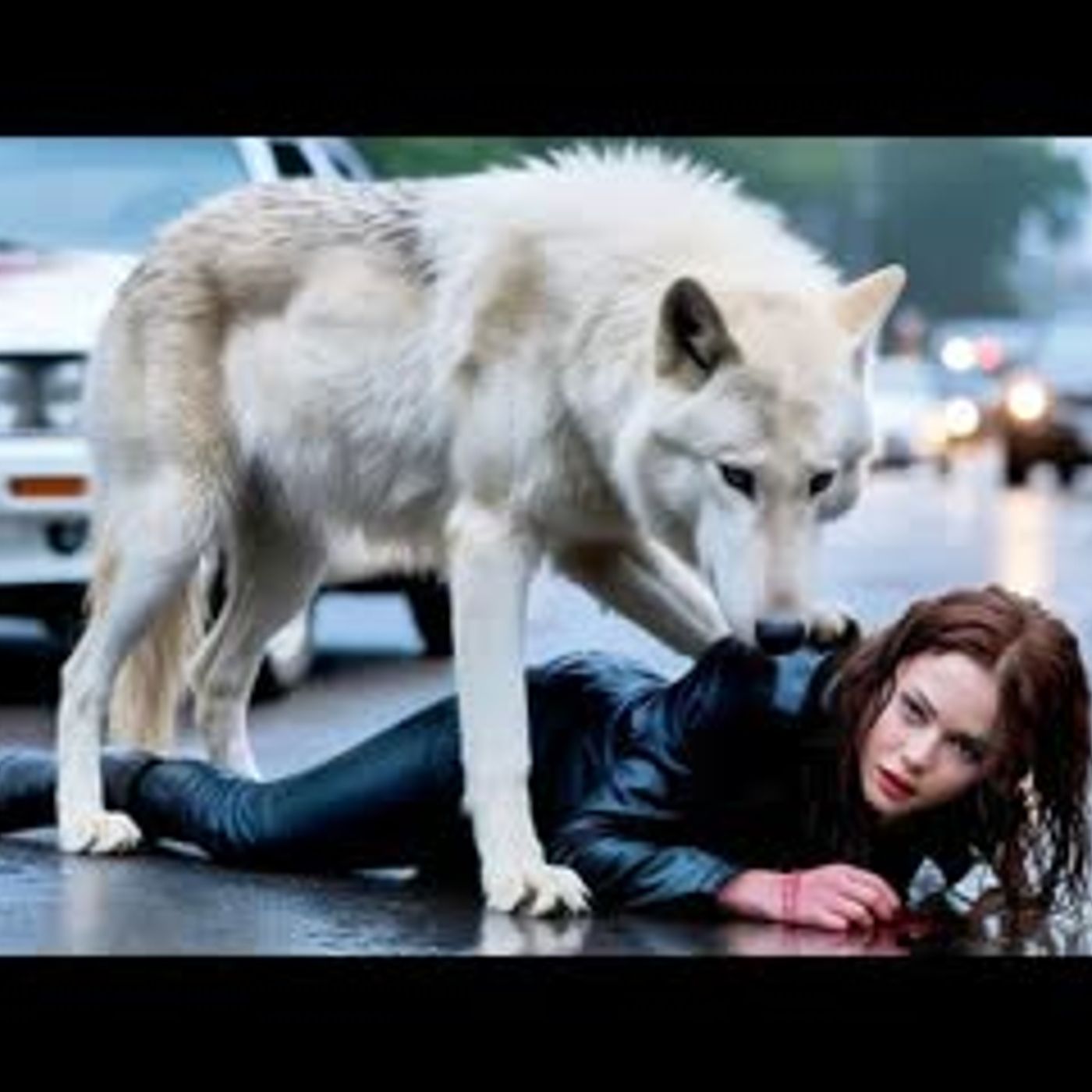 Hit by a Car, Saved by the Alpha King – Werewolf Romance That Will Shock You! episode artwork
