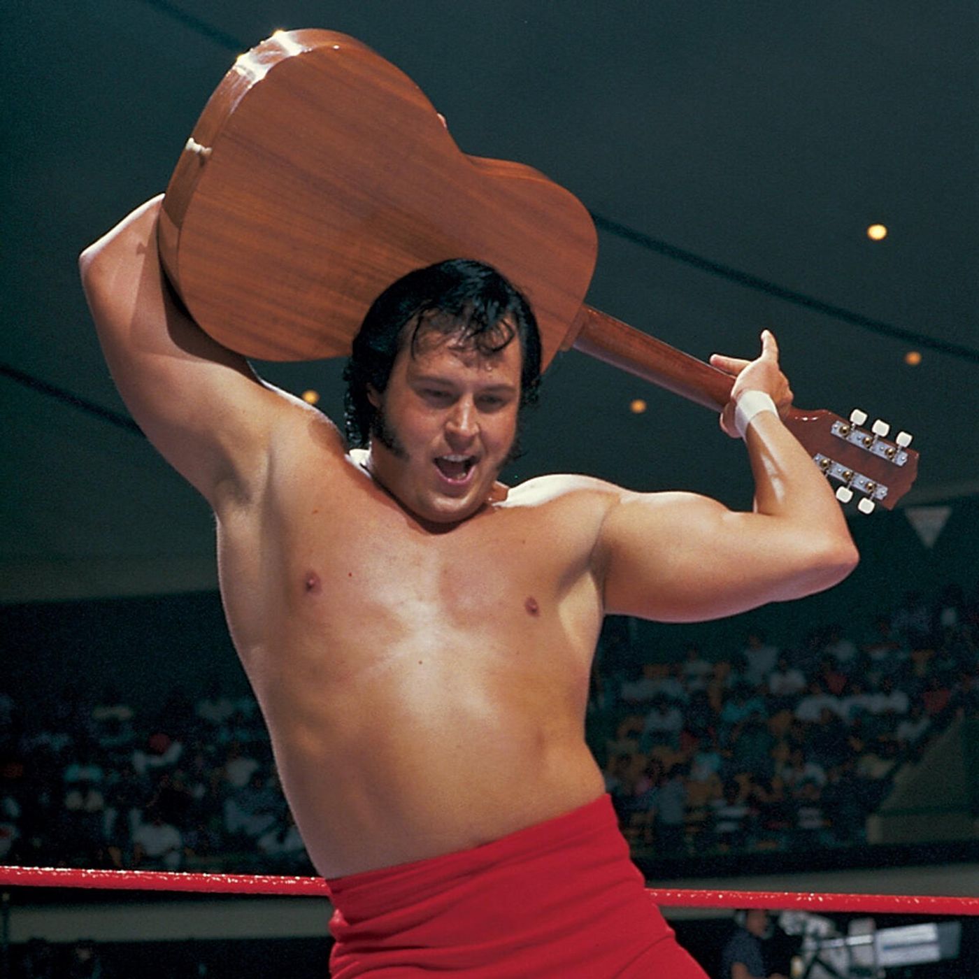 The HonkyTonk Man: A Rock 'n' Roll Journey Through Wrestling History