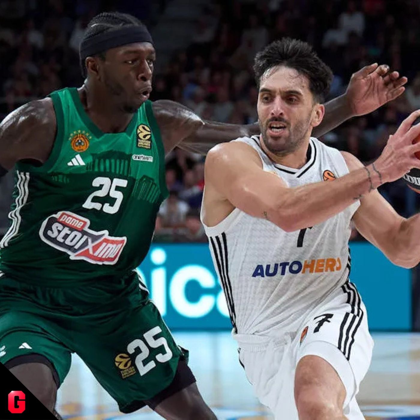 Gigantes Daily, baloncesto al día