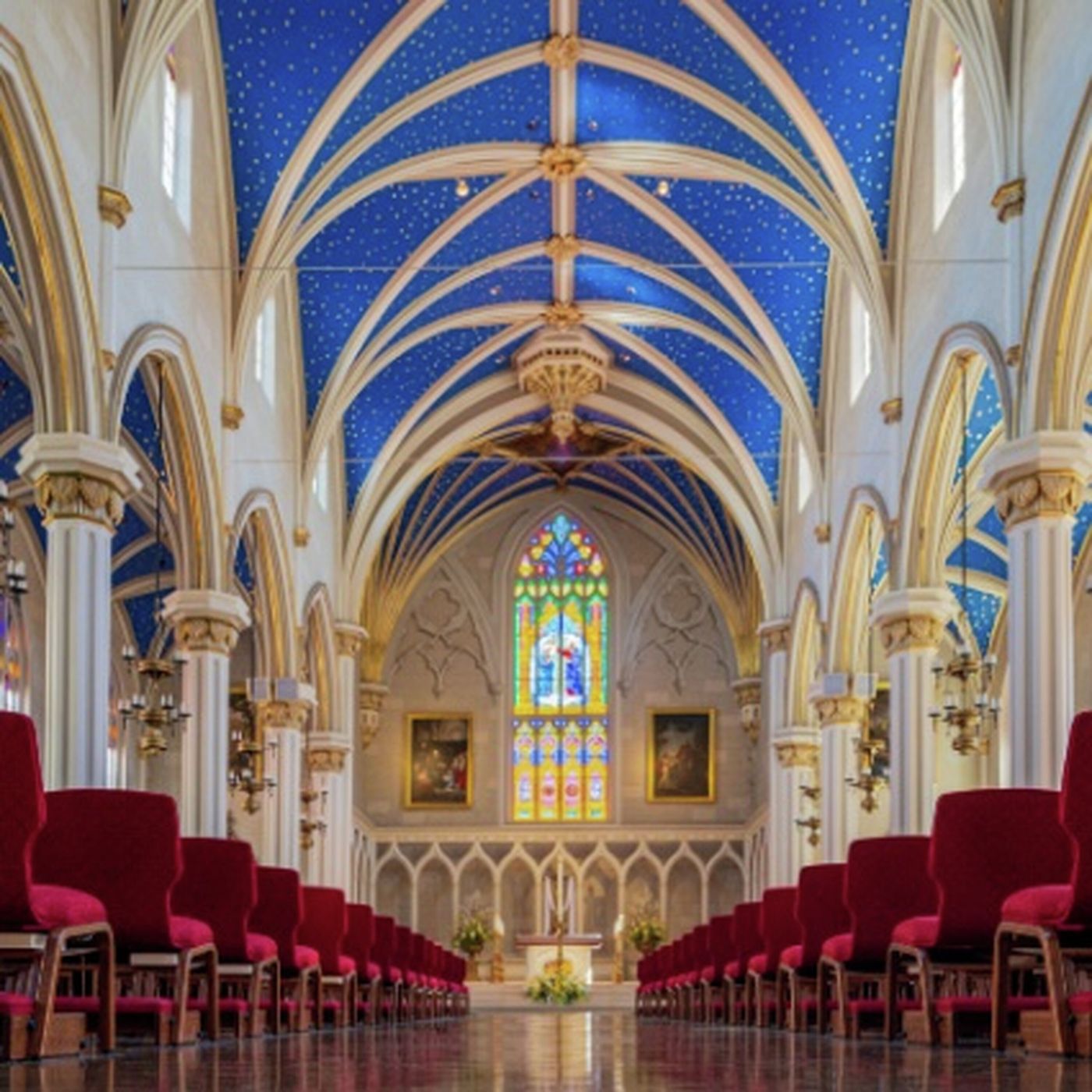 Trending with Timmerie