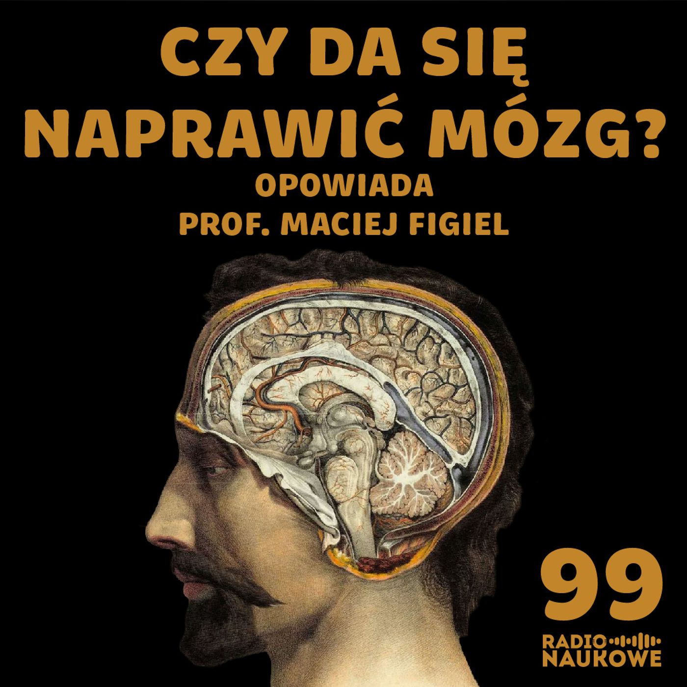 #99 Minimózgi w probówkach – jak nauka chce pokonać choroby neurodegeneracyjne? | prof. Maciej Figiel