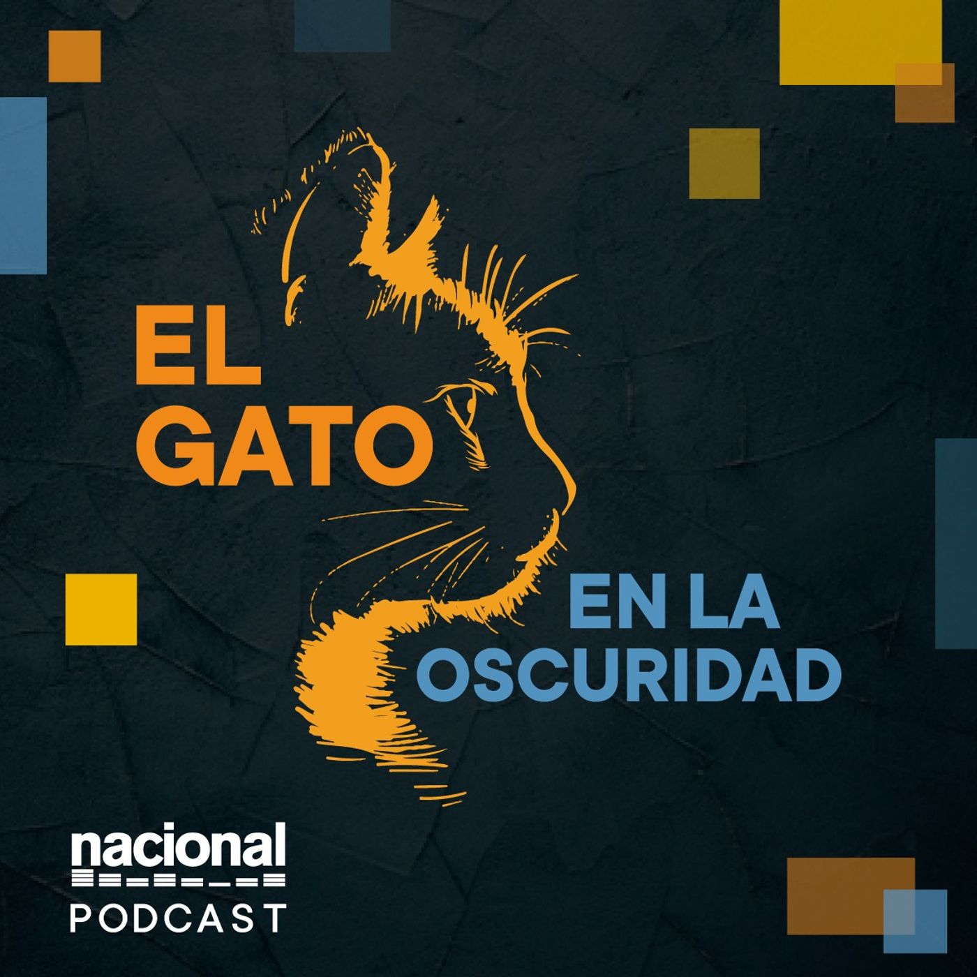 El gato en la oscuridad