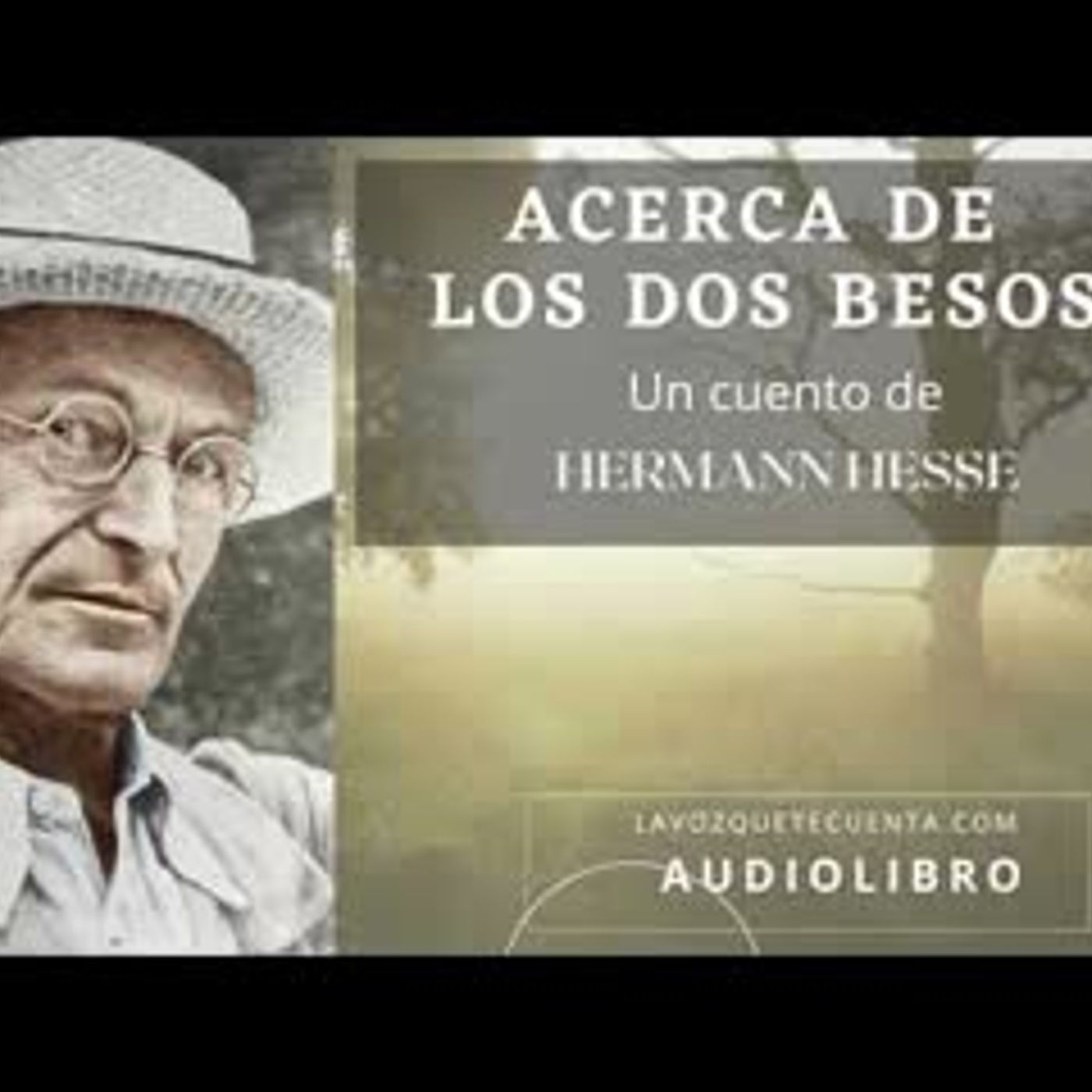Audiolibro En Español
