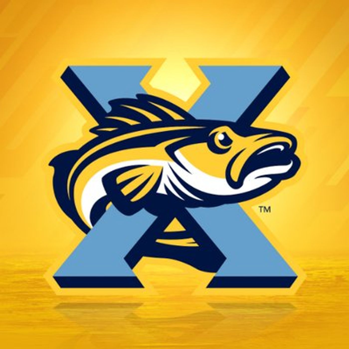 The Toledo Walleye are about to start up their 10th season and Andi Roman gives us all the info episode artwork