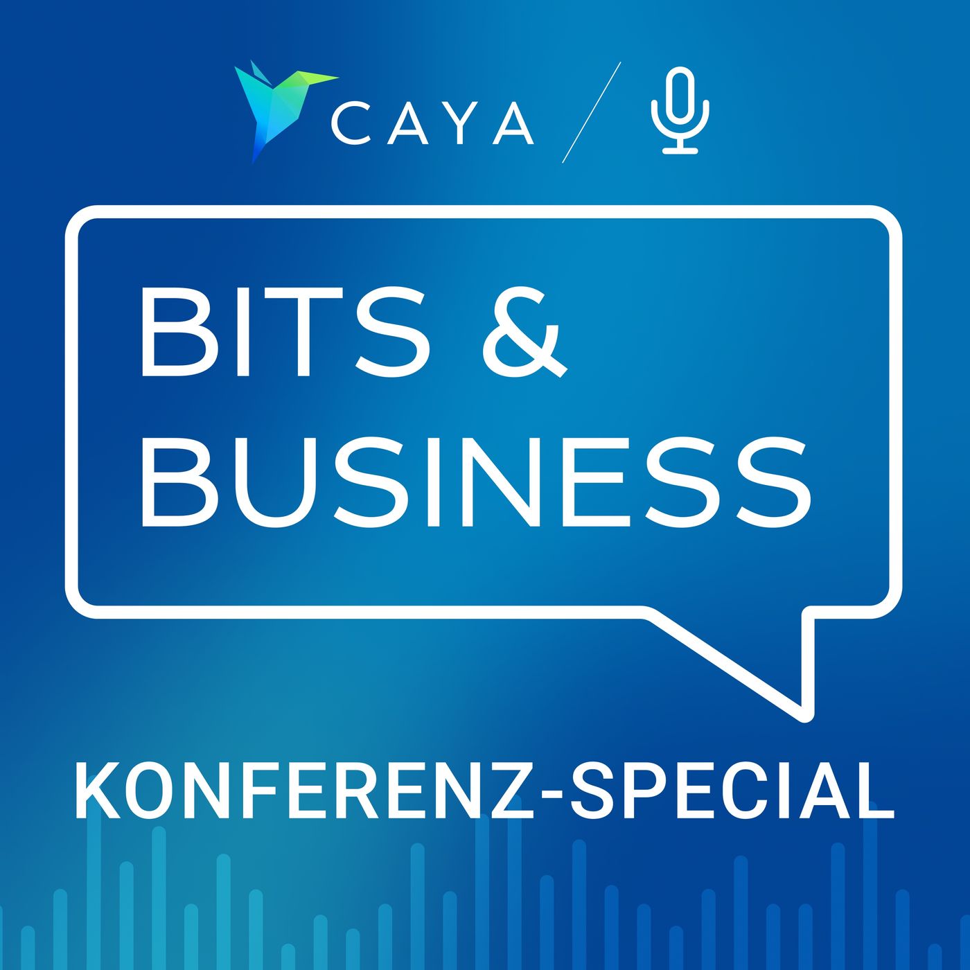 Bits & Business - der Digitalisierungspodcast für KMU