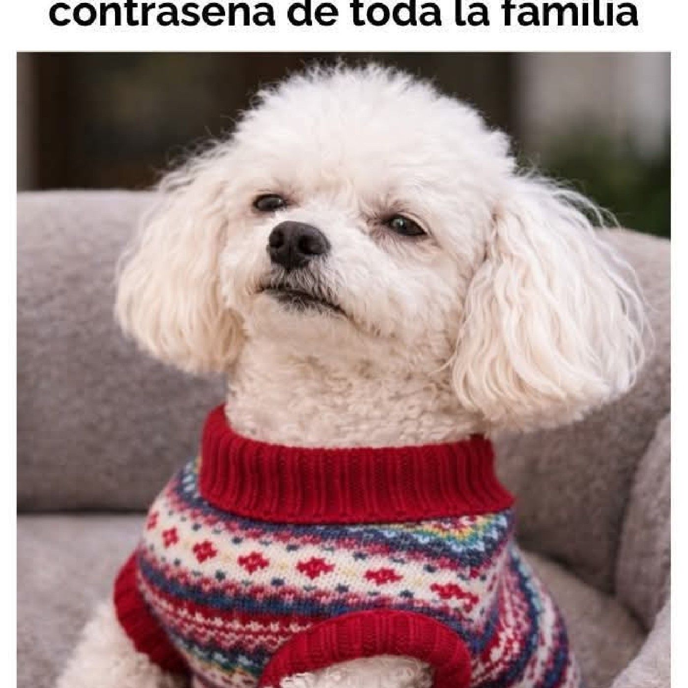 Prueba piloto cover art