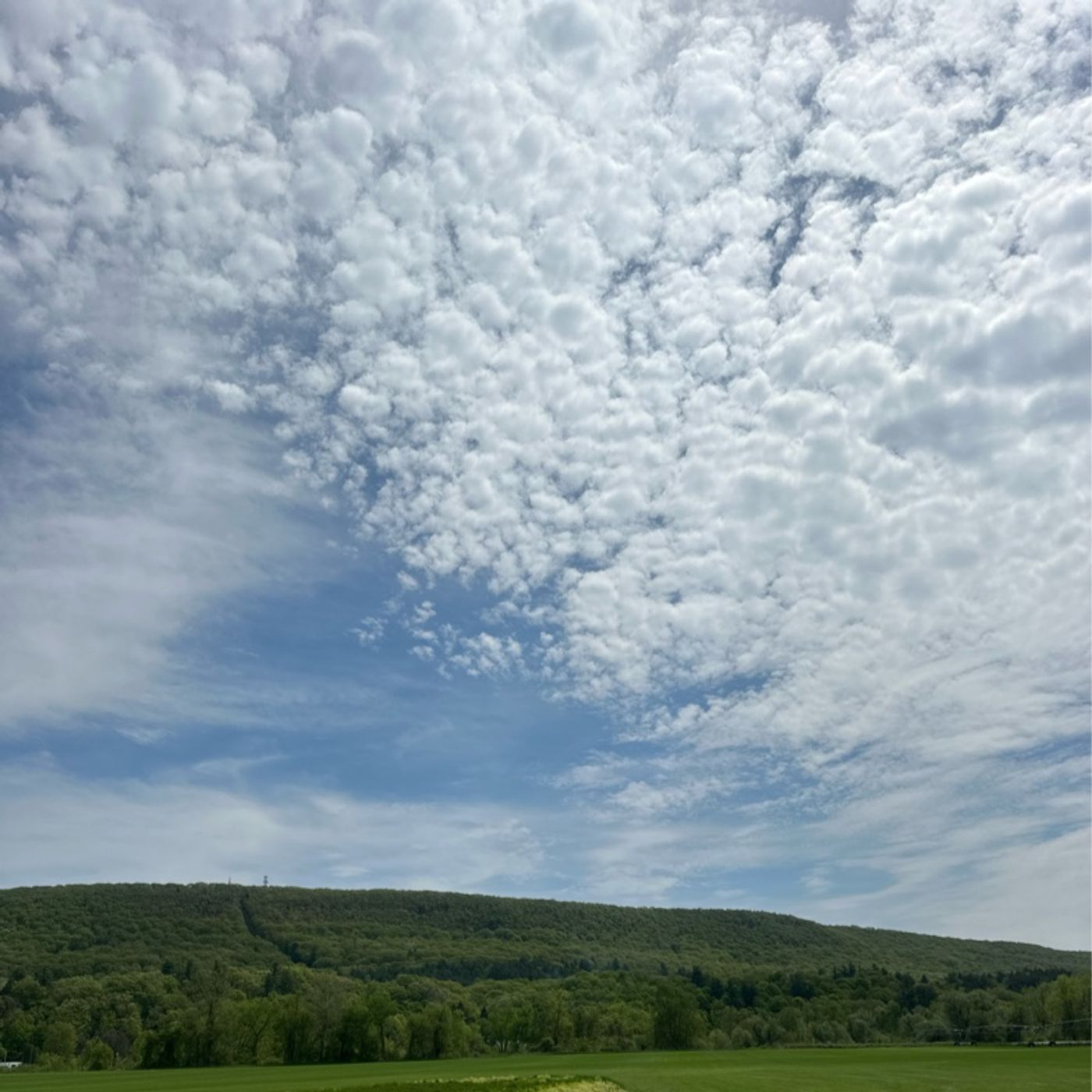 Let’s talk: Kailyn’s Guide