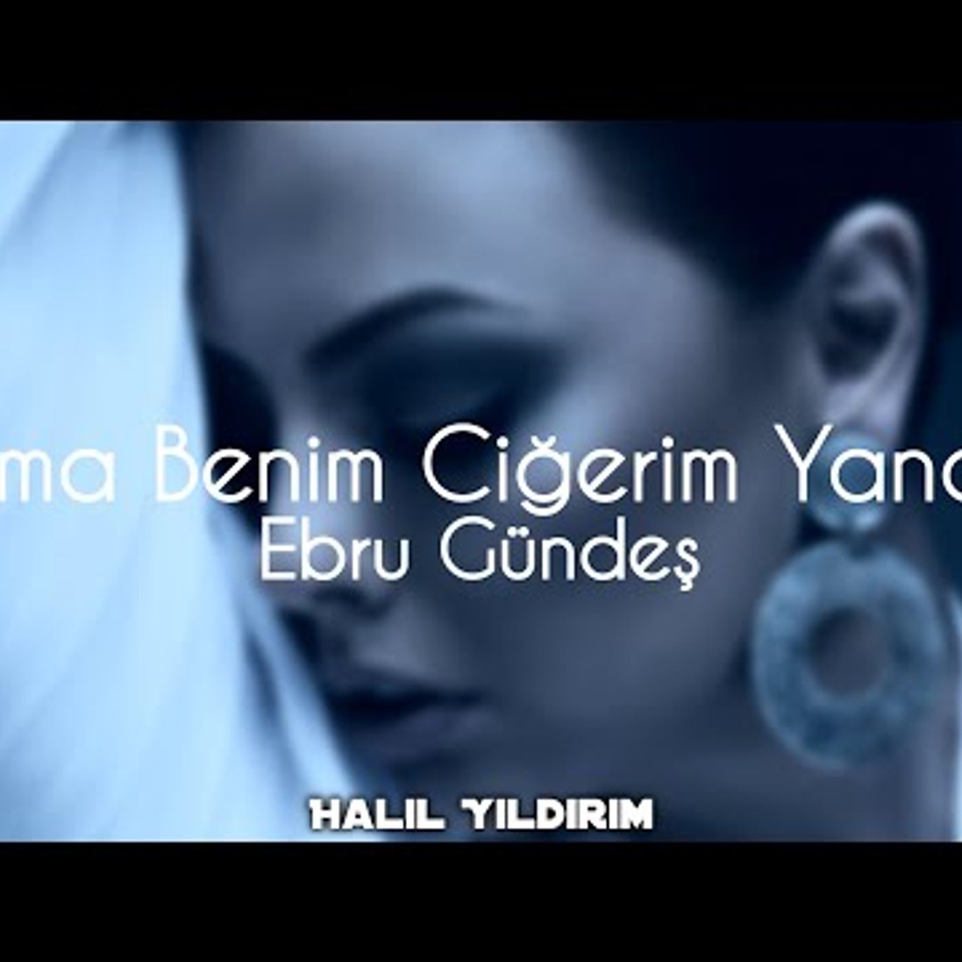 KİM DUT AĞACIYSA O SALLANIR