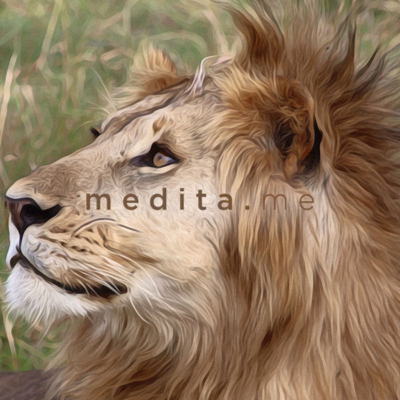 medita.me