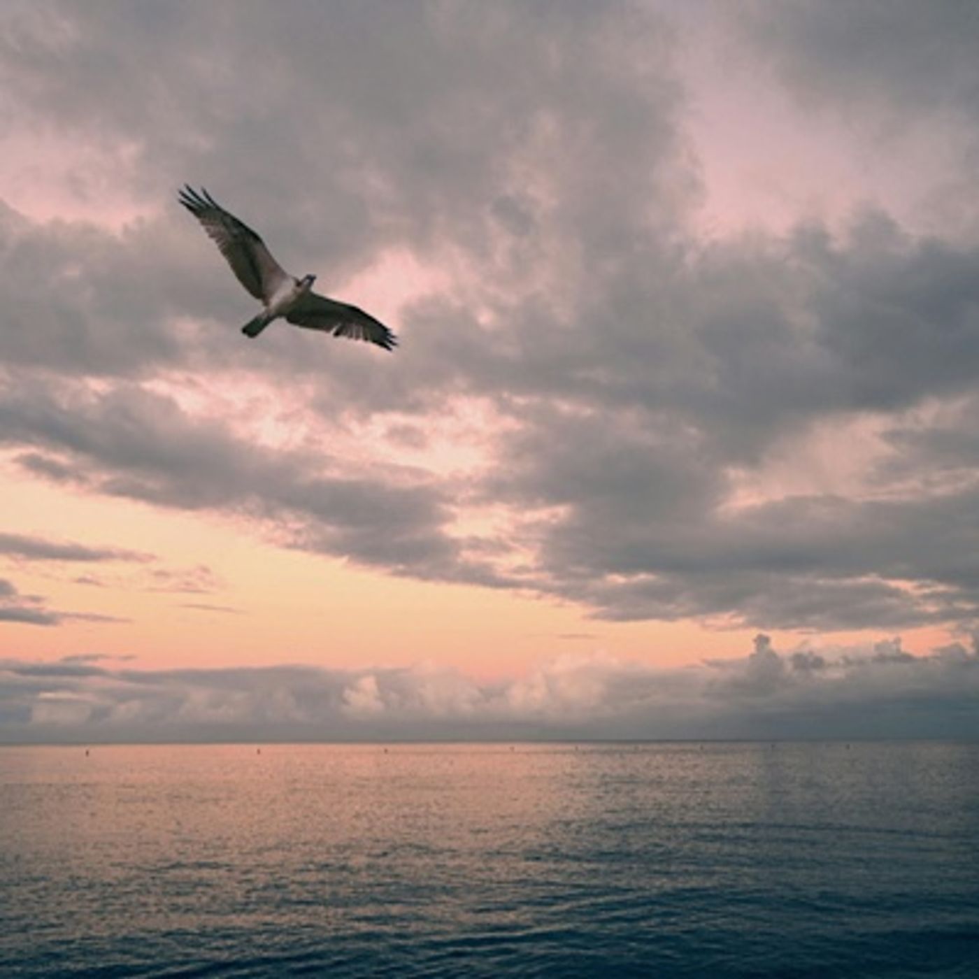 Episode 1556 - Jarvis Kingston she shall bring forth a Son, and thou shalt call his name Jesus: for he shall save his people from their sins Episode 1556 - Jarvis Kingston she shall bring forth a Son, and thou shalt call his name Jesus: for he shall save his people from their sins