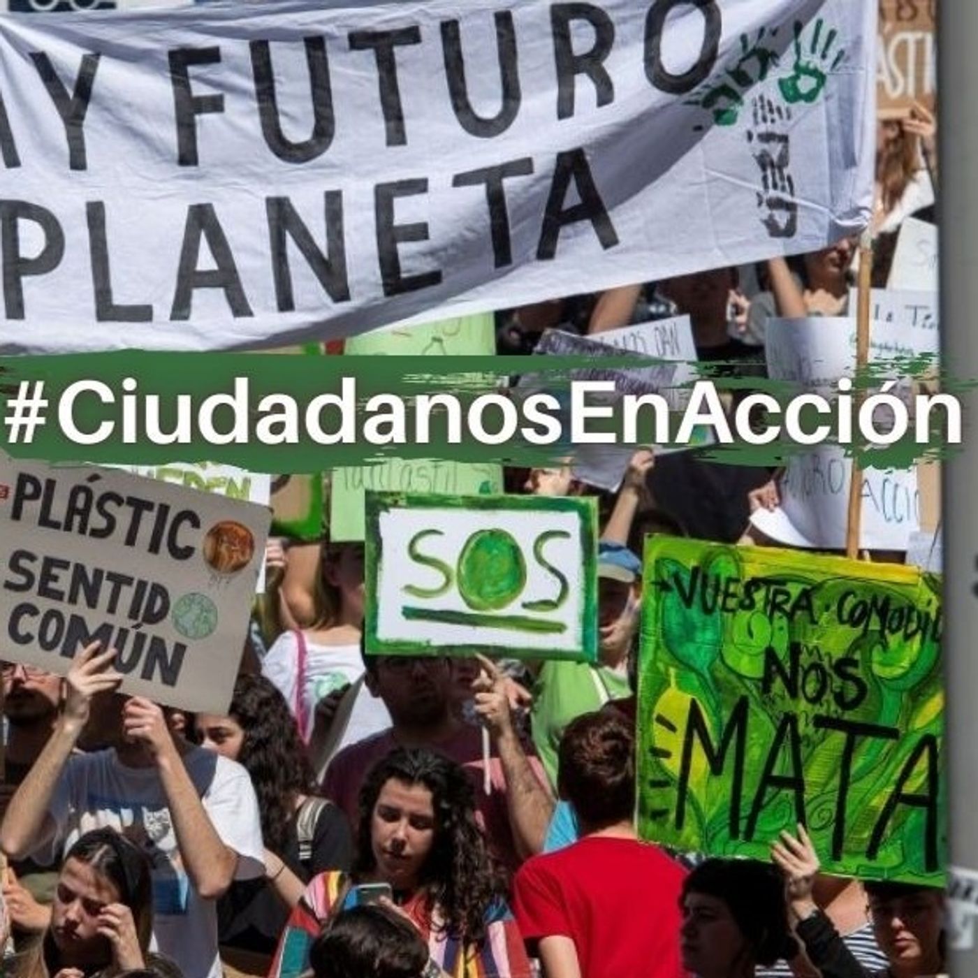 Ciudadanos en acción