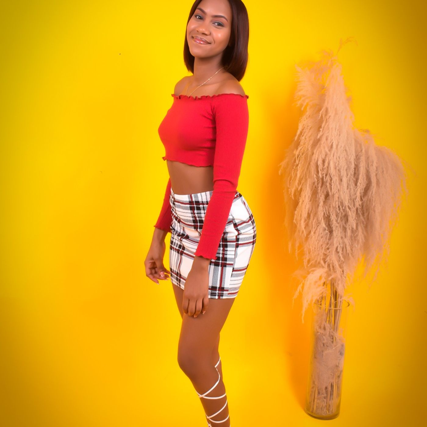 Procesos de colonización (Isla de S.D) cover art