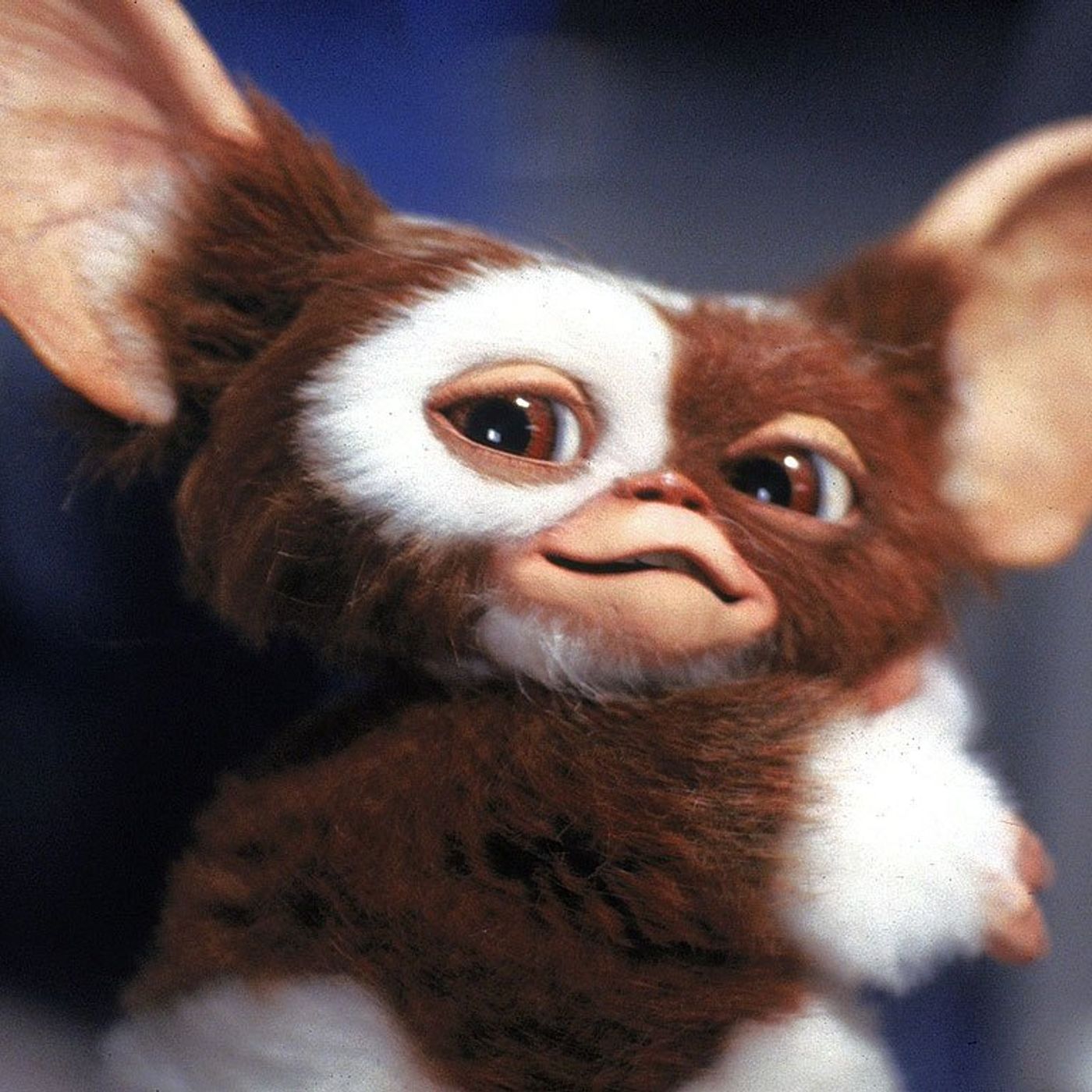 Is Gremlins 3 A Good Idea