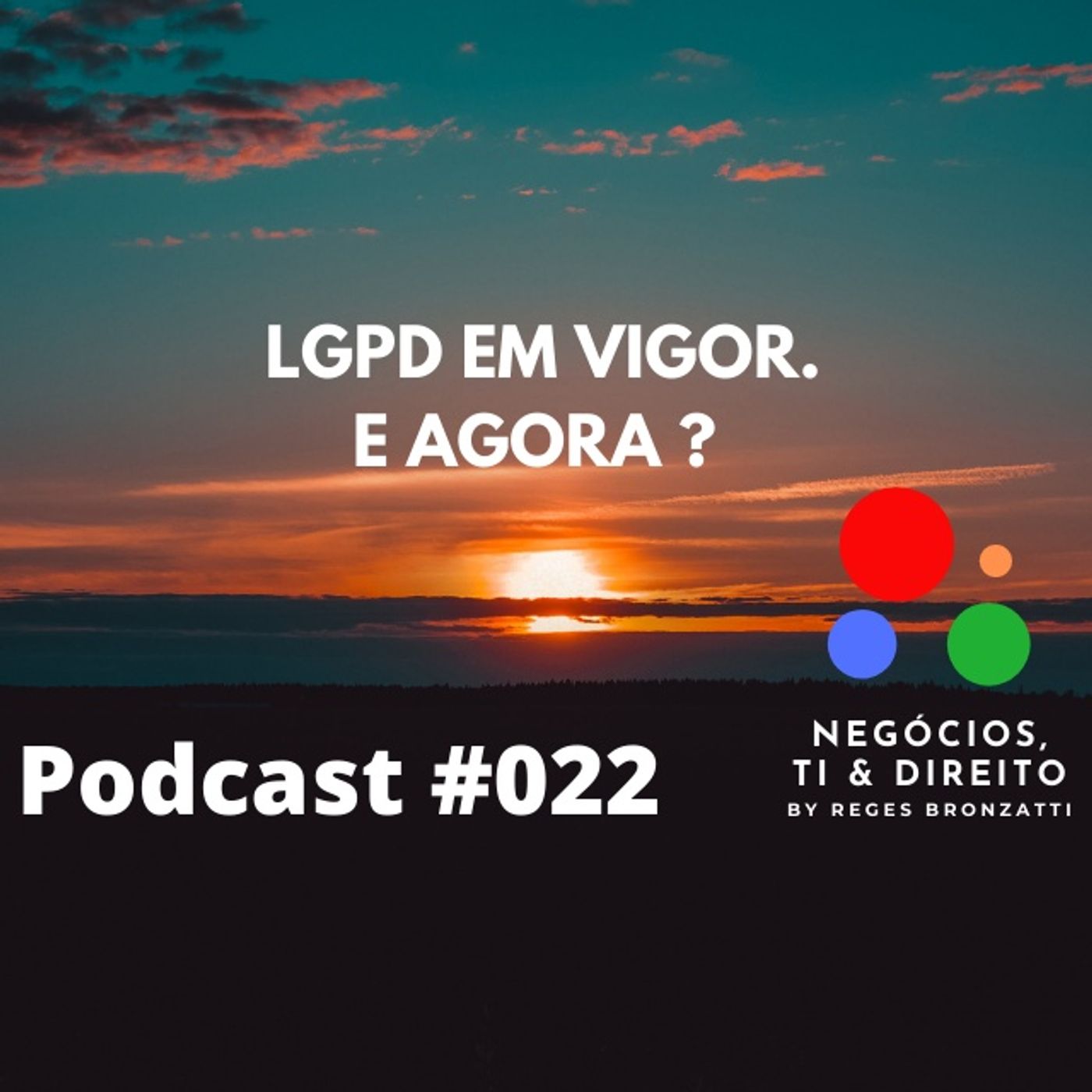 Negócios, TI & Direito