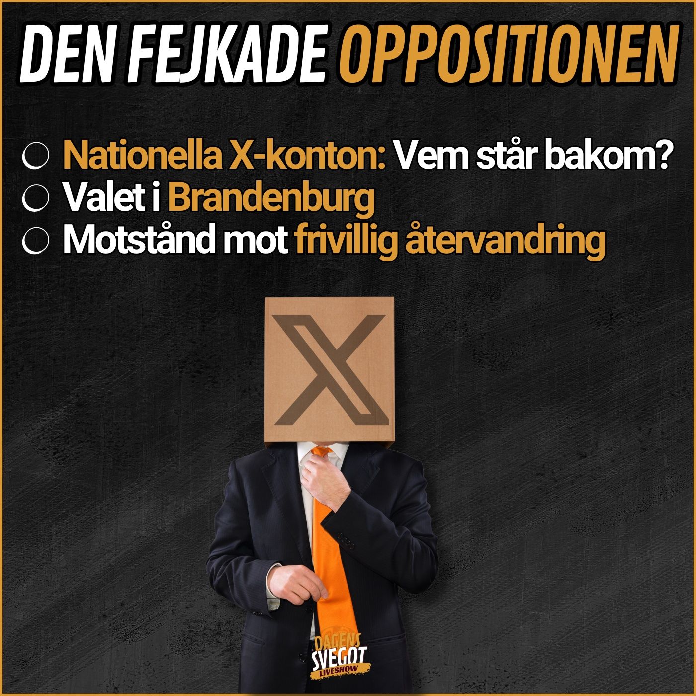 Fejkad opposition online, AfD-framgångar i Brandenburg och ointresse för frivillig återvandring episode artwork