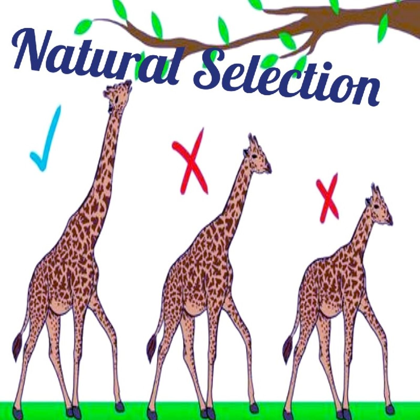 Natural Selection Episode 74 - Dark Skies News And information episode artwork