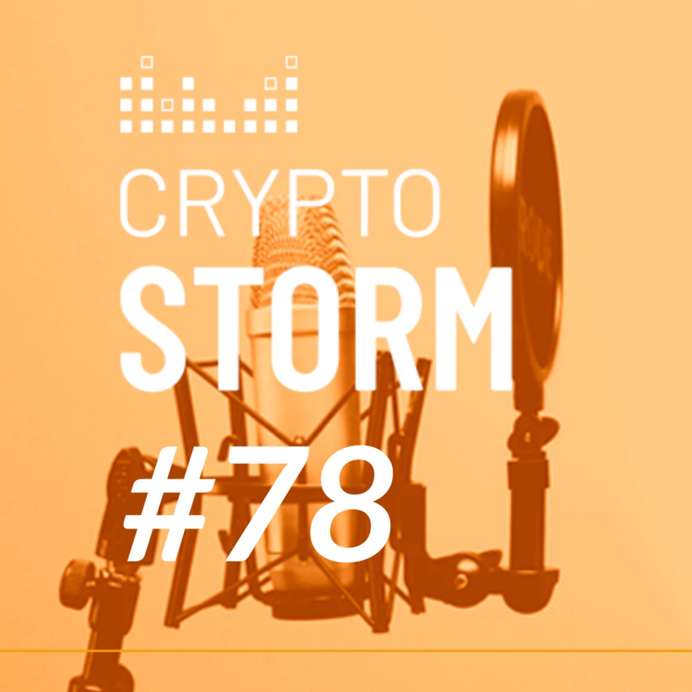 Crypto Storm